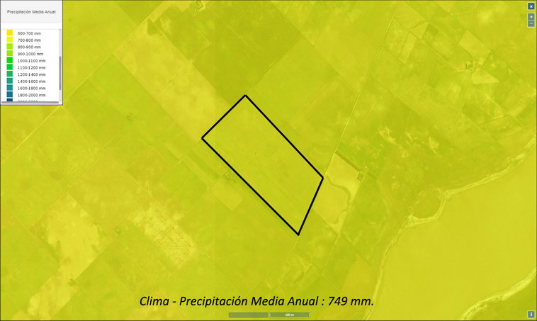 10700 ha. en Puelen (La Pampa)