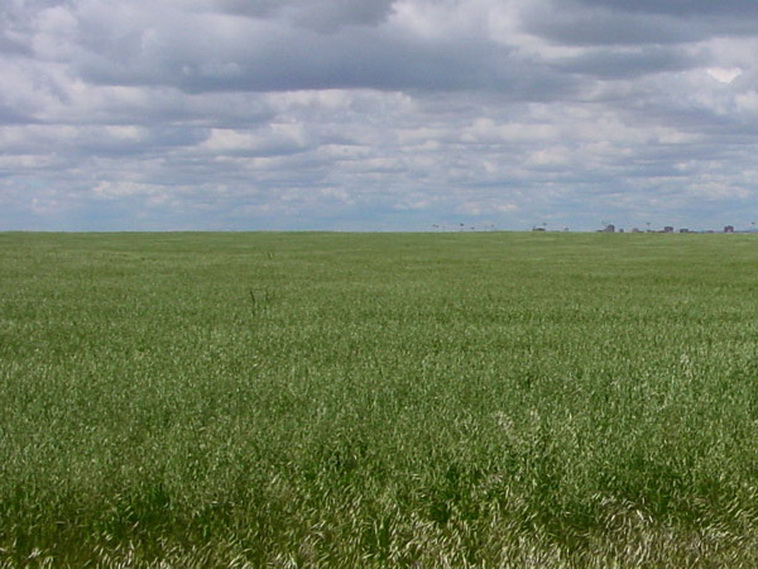 10700 ha. en Puelen (La Pampa)