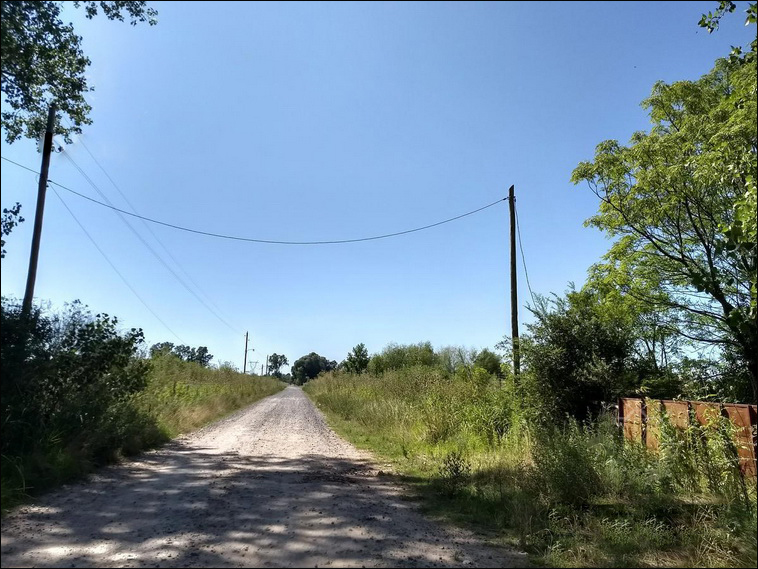 4 ha. en Zarate, Quinta (BsAs)