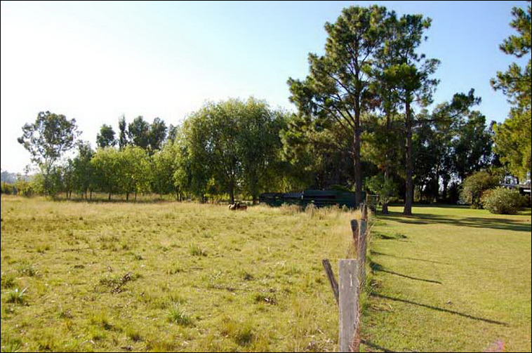 4 ha. en Zarate, Quinta (BsAs)