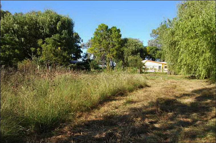 4 ha. en Zarate, Quinta (BsAs)