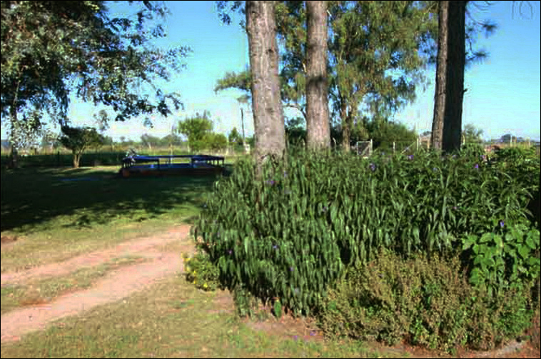 4 ha. en Zarate, Quinta (BsAs)