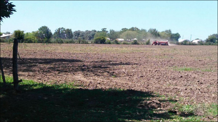 4 ha. en Zarate, Quinta (BsAs)
