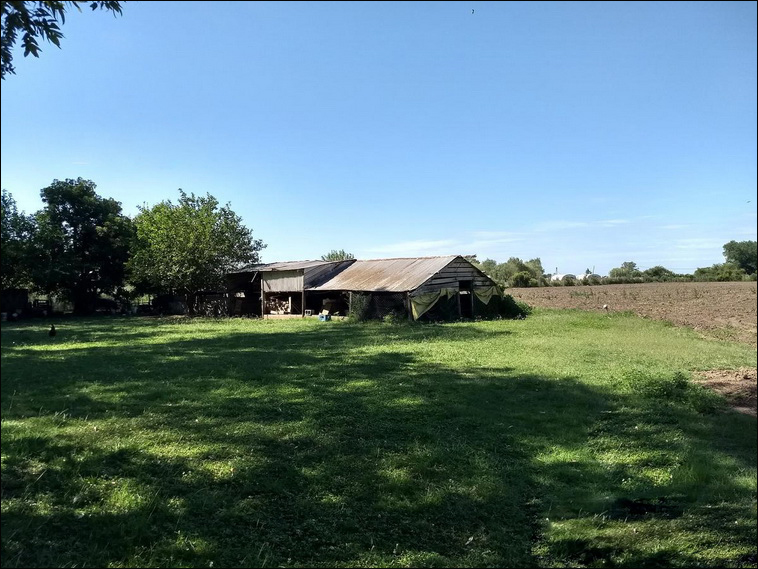 4 ha. en Zarate, Quinta (BsAs)