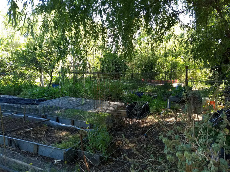 4 ha. en Zarate, Quinta (BsAs)
