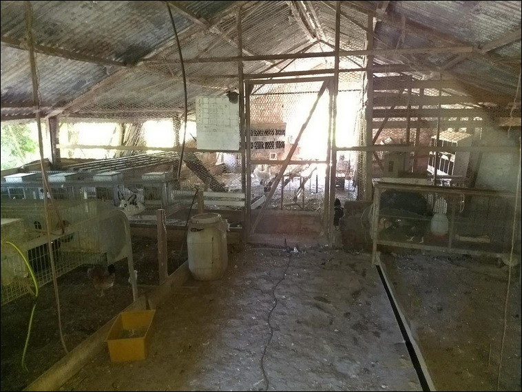 4 ha. en Zarate, Quinta (BsAs)