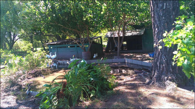 4 ha. en Zarate, Quinta (BsAs)
