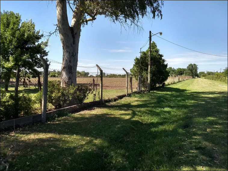 4 ha. en Zarate, Quinta (BsAs)