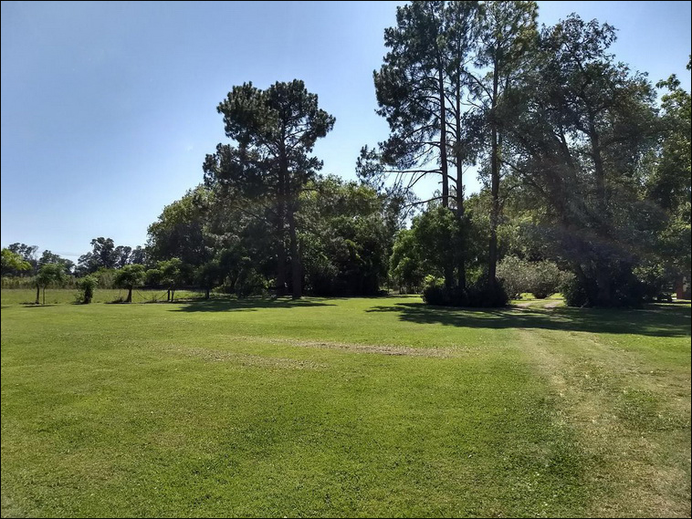 4 ha. en Zarate, Quinta (BsAs)