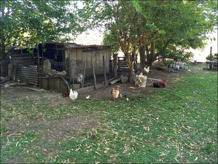 4 ha. en Zarate, Quinta (BsAs)