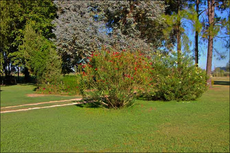 4 ha. en Zarate, Quinta (BsAs)