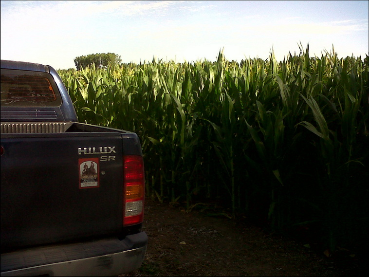 95 ha. en Pichi Mahuida (Ro Negro)