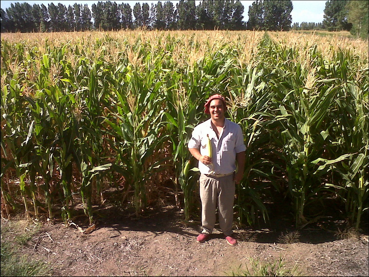95 ha. en Pichi Mahuida (Ro Negro)