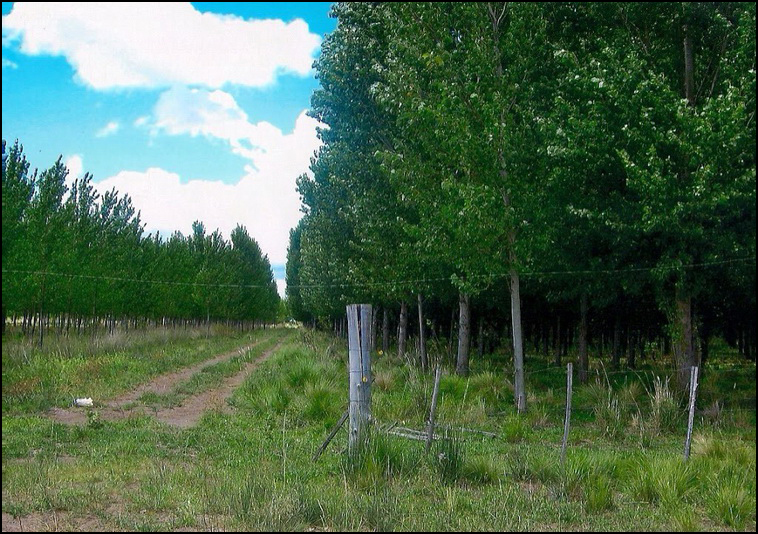 448 ha. con riego en Lihuel Calel (Rio Negro)
