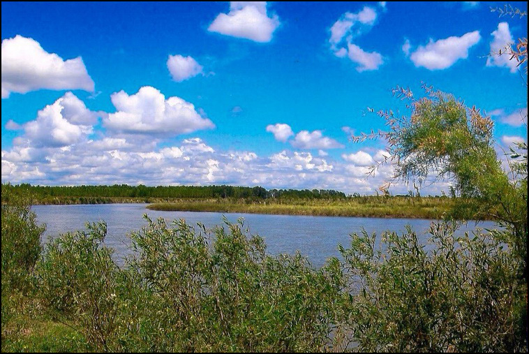 448 ha. con riego en Lihuel Calel (Rio Negro)