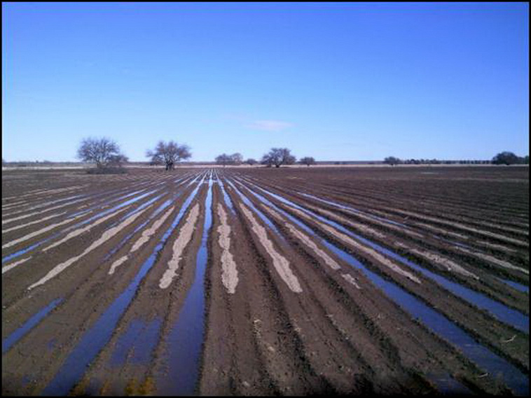 7428 ha. con riego en Lihuel Calel (Rio Negro)