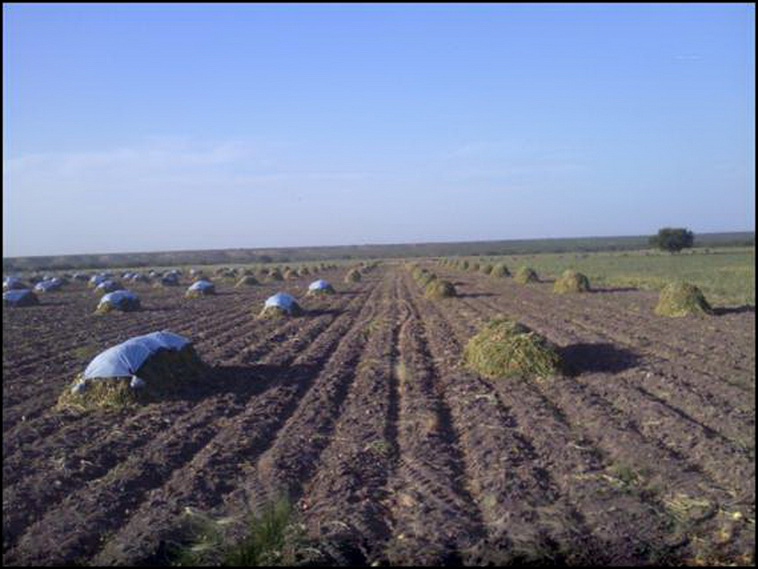 7428 ha. con riego en Lihuel Calel (Rio Negro)