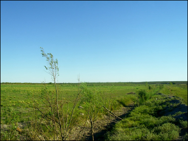 7428 ha. con riego en Lihuel Calel (Rio Negro)