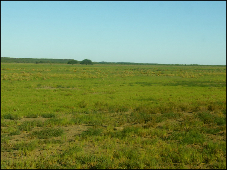 7428 ha. con riego en Lihuel Calel (Rio Negro)