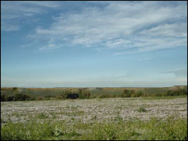 7428 ha. con riego en Lihuel Calel (Rio Negro)