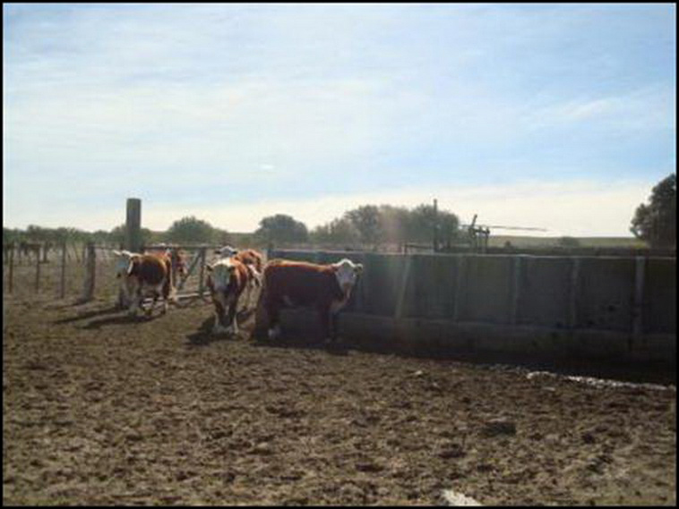 7428 ha. con riego en Lihuel Calel (Rio Negro)