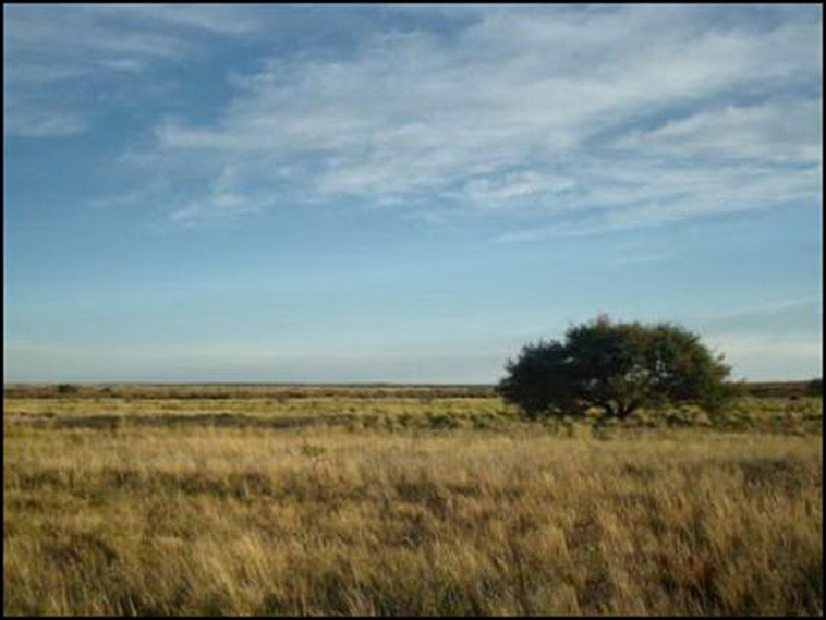 7428 ha. con riego en Lihuel Calel (Rio Negro)