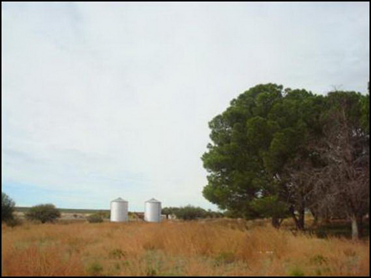 7428 ha. con riego en Lihuel Calel (Rio Negro)
