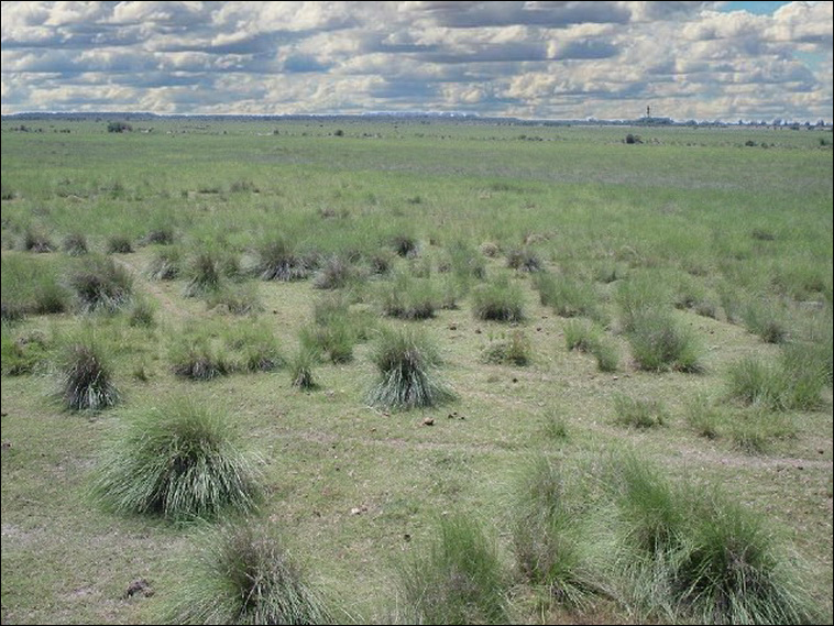 345 ha. en San Cristobal (Santa Fe)