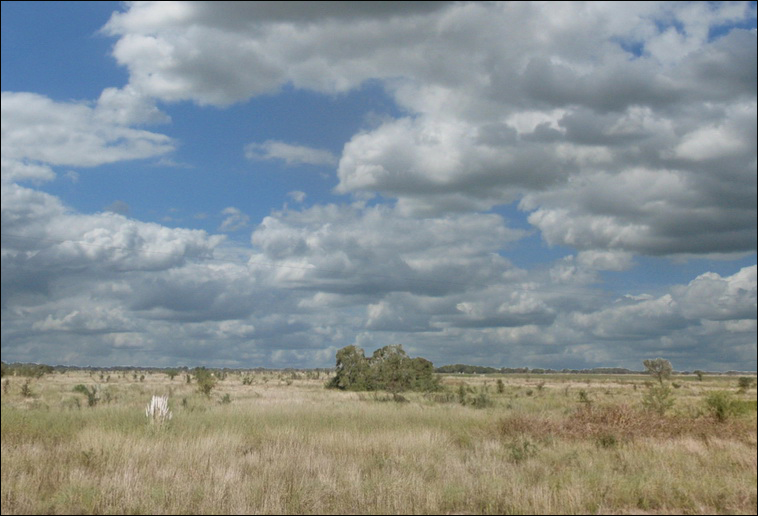 345 ha. en San Cristobal (Santa Fe)