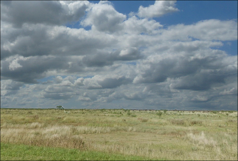 345 ha. en San Cristobal (Santa Fe)