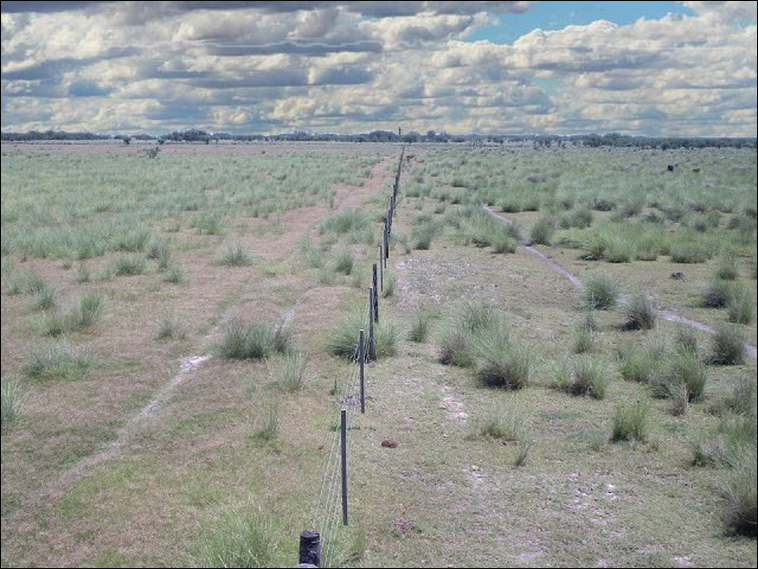 345 ha. en San Cristobal (Santa Fe)