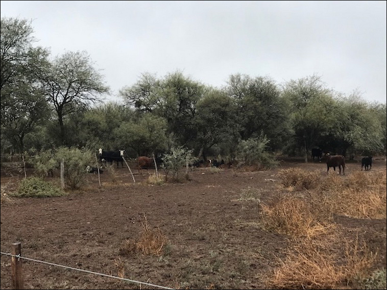 9127 ha. en La Paz (Mendoza)