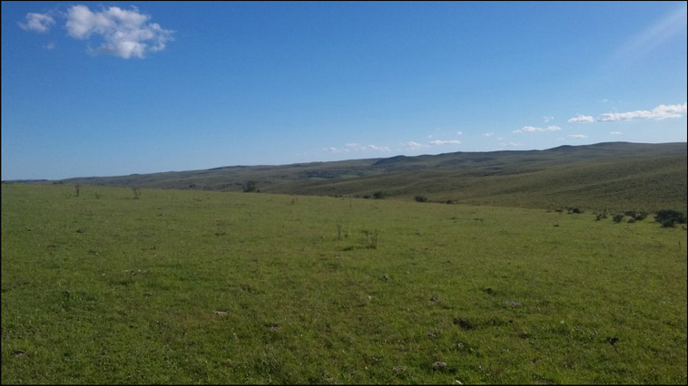 1699 ha. en Ancasti (Catamarca)