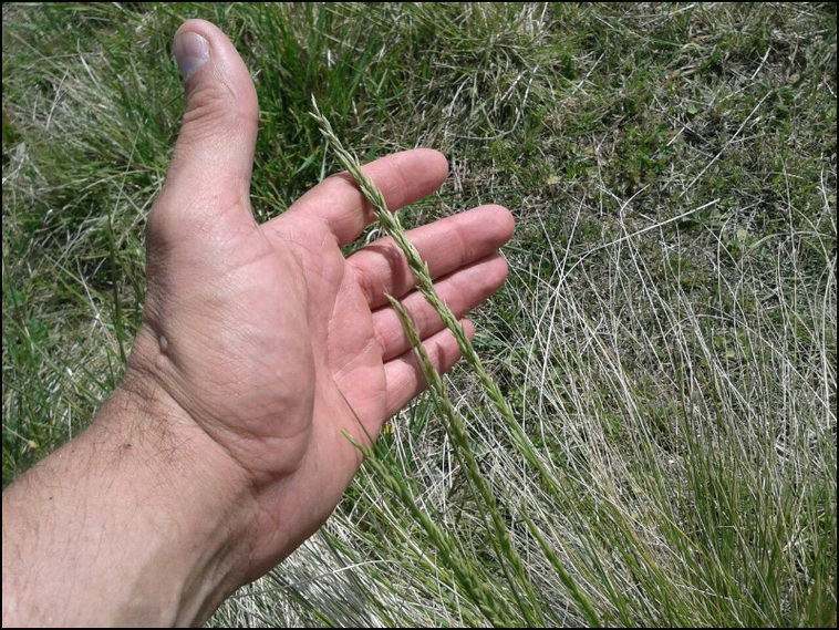 1699 ha. en Ancasti (Catamarca)