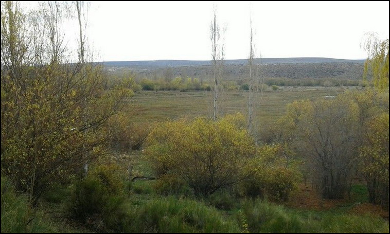 180 ha. en Alumine (Neuquen)