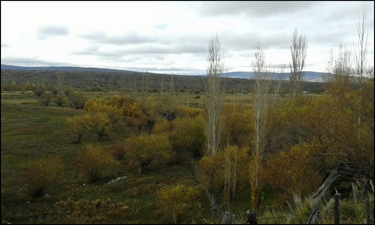 180 ha. en Alumine (Neuquen)