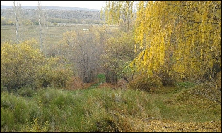 180 ha. en Alumine (Neuquen)
