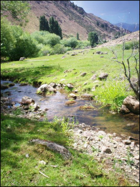 180 ha. en Alumine (Neuquen)