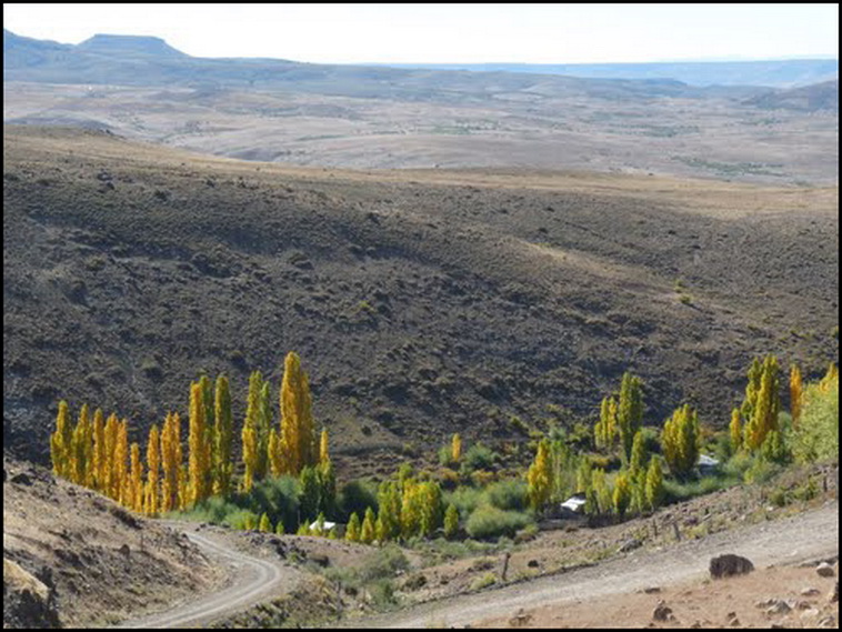 180 ha. en Alumine (Neuquen)