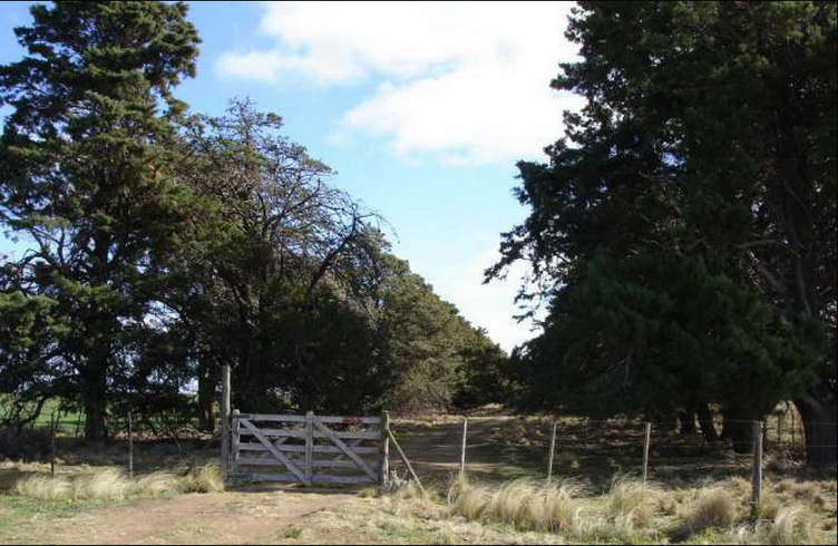 475 ha. en Sierra de la Ventana (Buenos Aires)