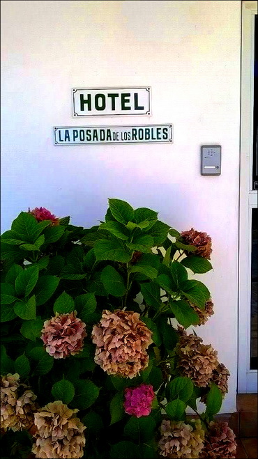 20 habitaciones Hotel Posada de los Robles en Las Grutas (Rio Negro)