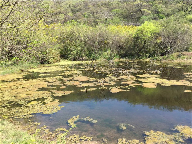 1000 ha. en ALIJILAN Depto Santa Rosa (Catamarca)