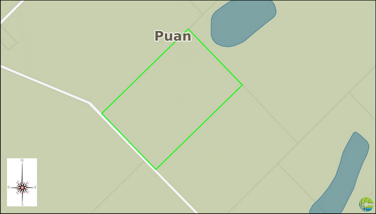 158 ha. en Puan (Buenos Aires)