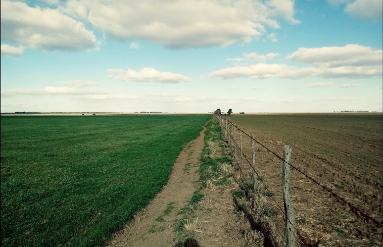 158 ha. en Puan (Buenos Aires)