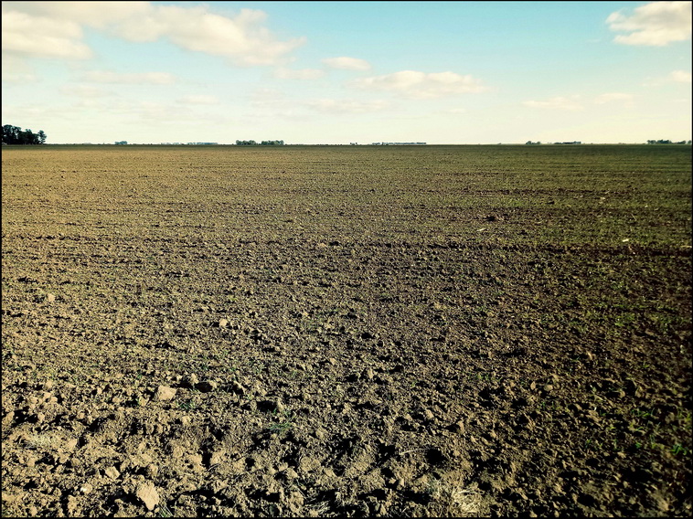 158 ha. en Puan (Buenos Aires)