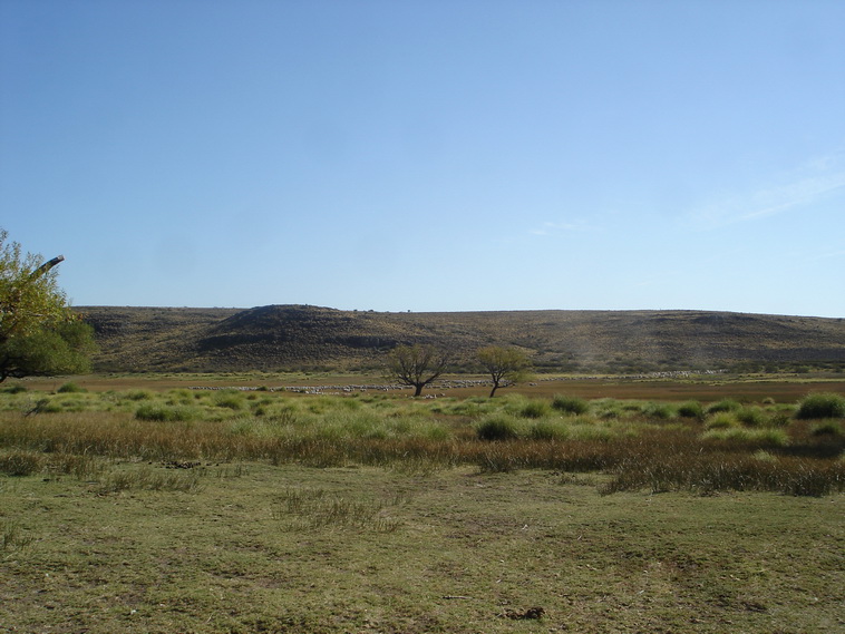 13736 hectáreas en Ramos Mexia (Rio Negro)