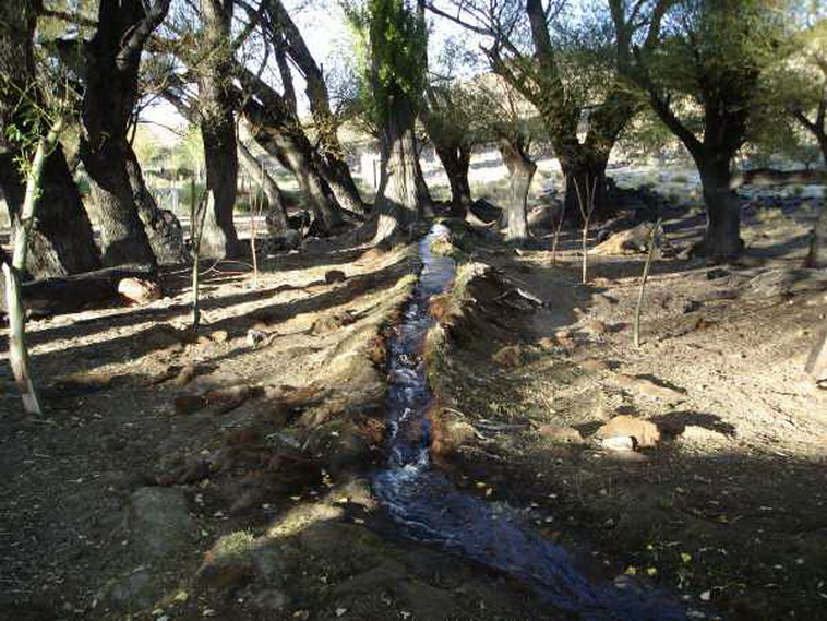 13736 hectáreas en Ramos Mexia (Rio Negro)