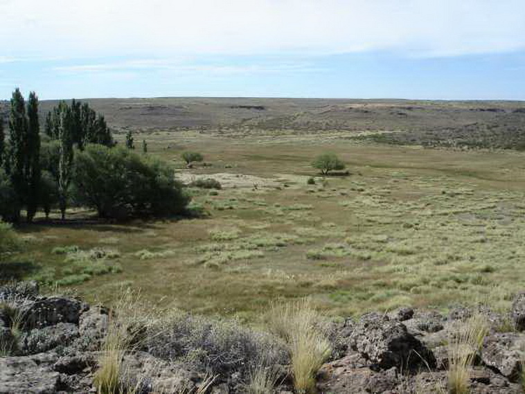 13736 hectáreas en Ramos Mexia (Rio Negro)