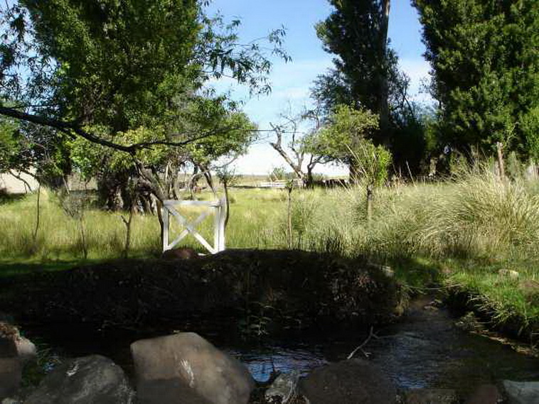 13736 hectáreas en Ramos Mexia (Rio Negro)