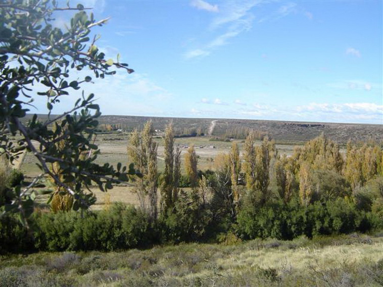 13736 hectáreas en Ramos Mexia (Rio Negro)